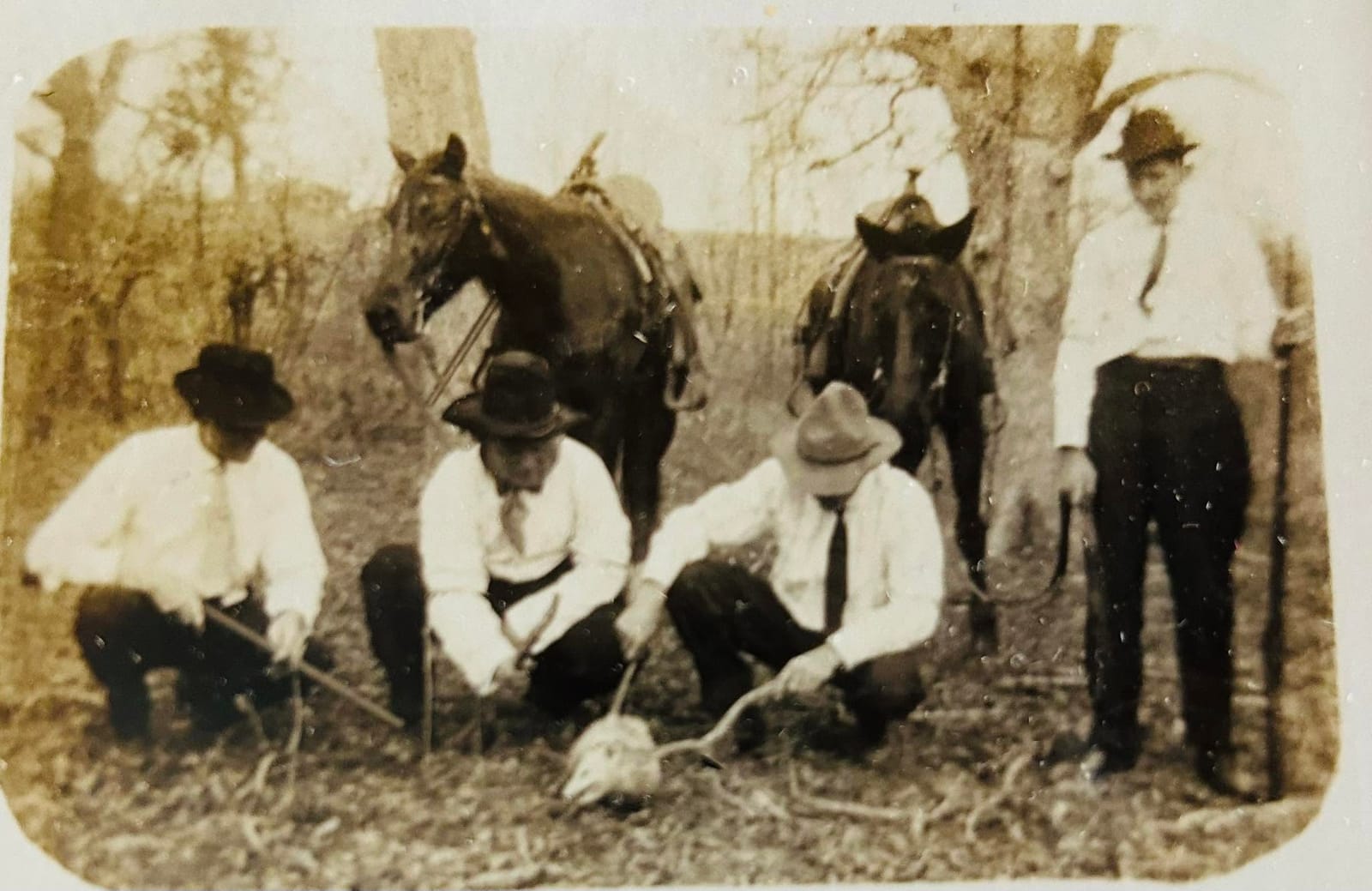 Antique sepia real-photo postcard showing four men in hats with two horses on a hunt.